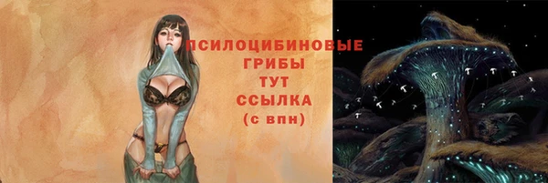 марки lsd Абаза