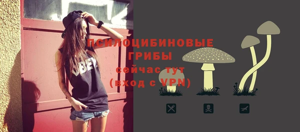 марки lsd Абаза