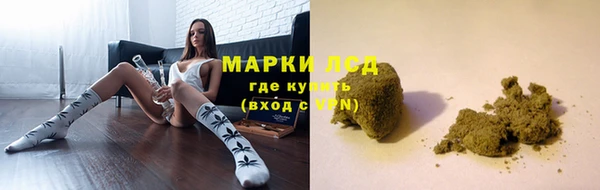стафф Алзамай